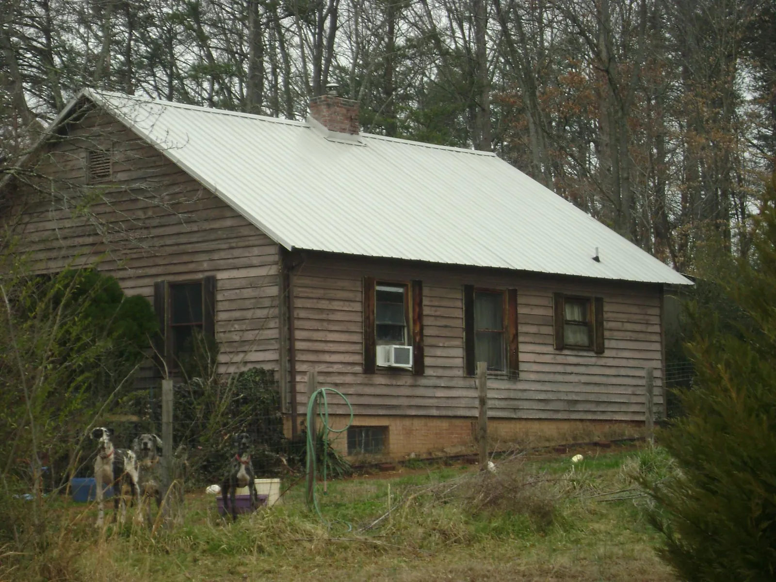 White metal roof on an old wood sided farmhouse, from a Asphalt Shingle Roof Repair job in Forest